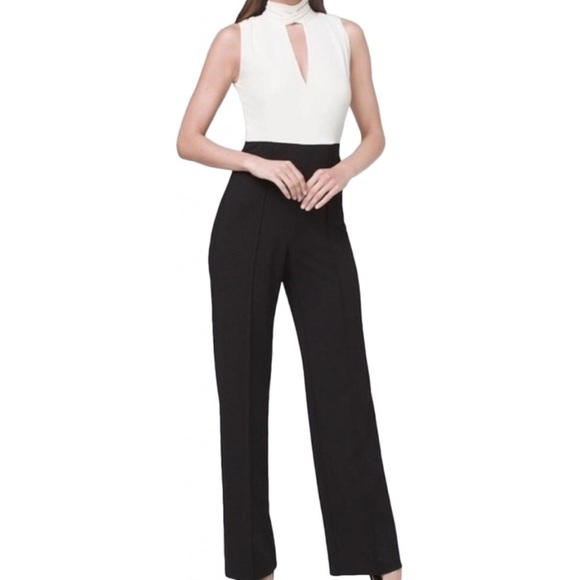 White House Black Market Pants - V- neck Jumpsuit
